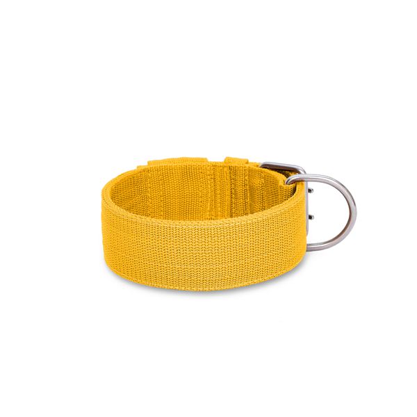 Coleira Para Cachorro Amorosso Amarelo