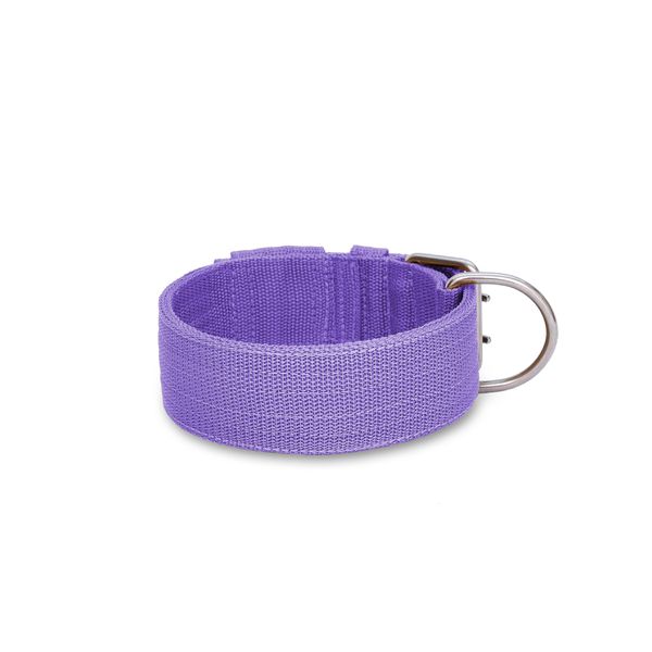 Coleira Para Cachorro Amorosso Lilás