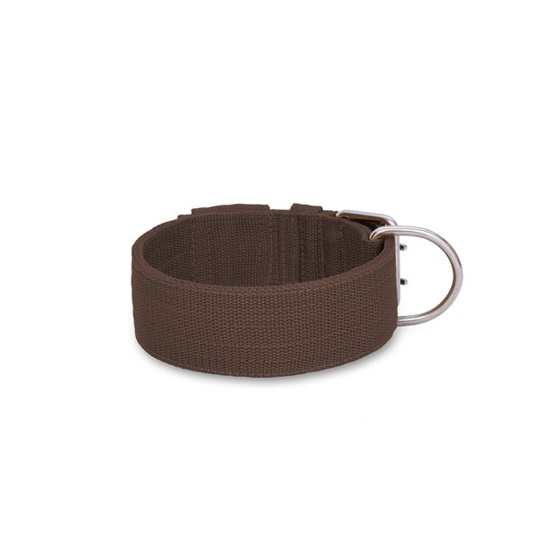 Coleira Para Cachorro Amorosso Marrom