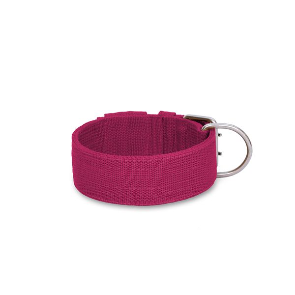 Coleira Para Cachorro Amorosso Pink