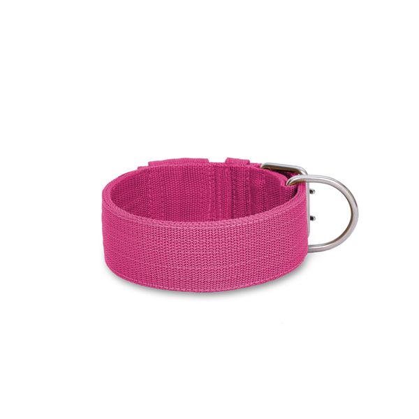 Coleira Para Cachorro Amorosso Rosa