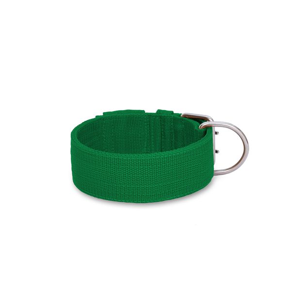Coleira Para Cachorro Amorosso Verde