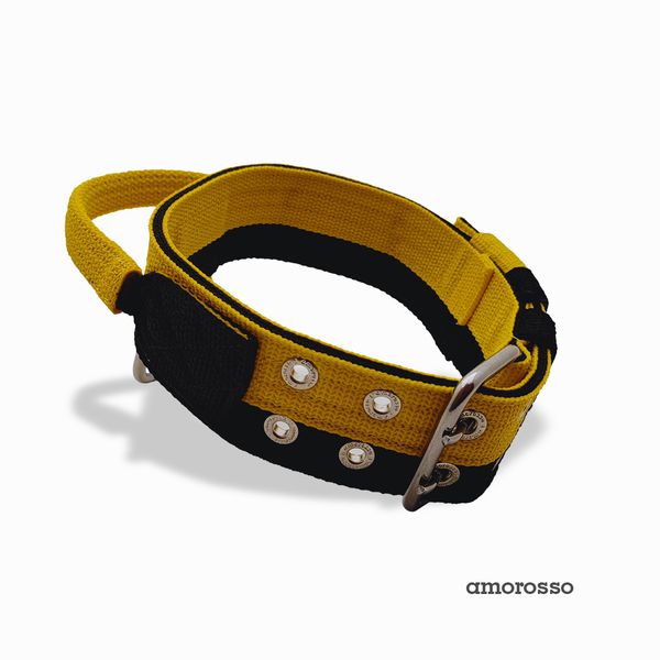 Coleira Duo Color Poderosso Amarelo E Preto Amorosso