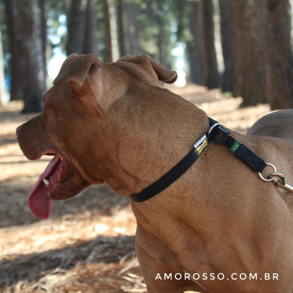 Colar de Ajuste Amorosso® - Preto