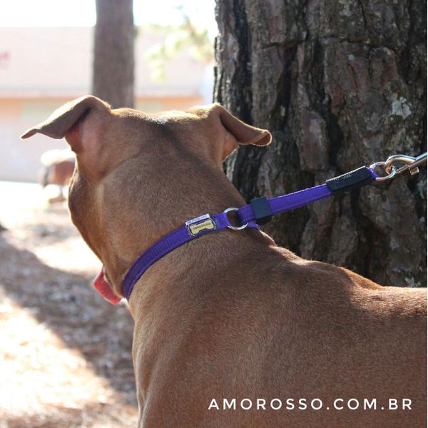 Colar de Ajuste Amorosso® - Roxo