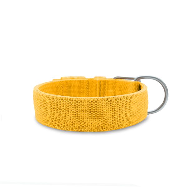  Coleira Para Cachorro Fit (amarelo)