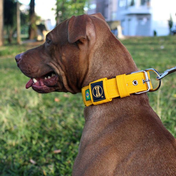 LQ Coleira Para Cachorro Fit amarelo
