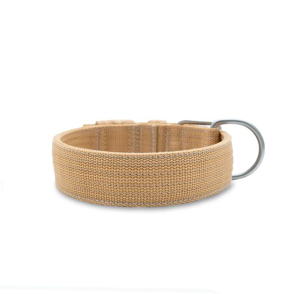  Coleira Para Cachorro Fit (areia) 