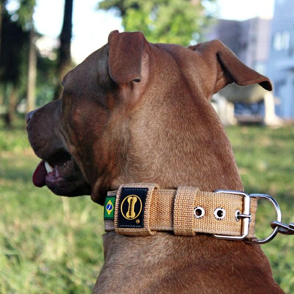  Coleira Para Cachorro Fit (areia) 
