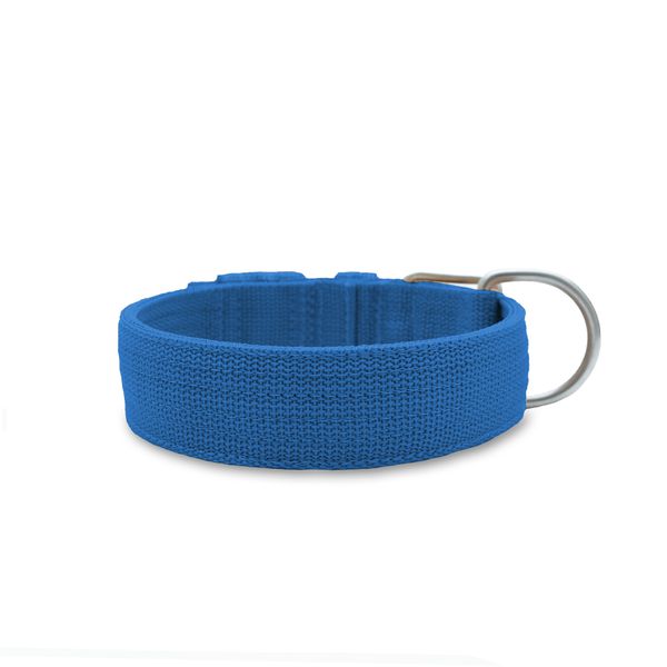  Coleira Para Cachorro Fit (azul) 