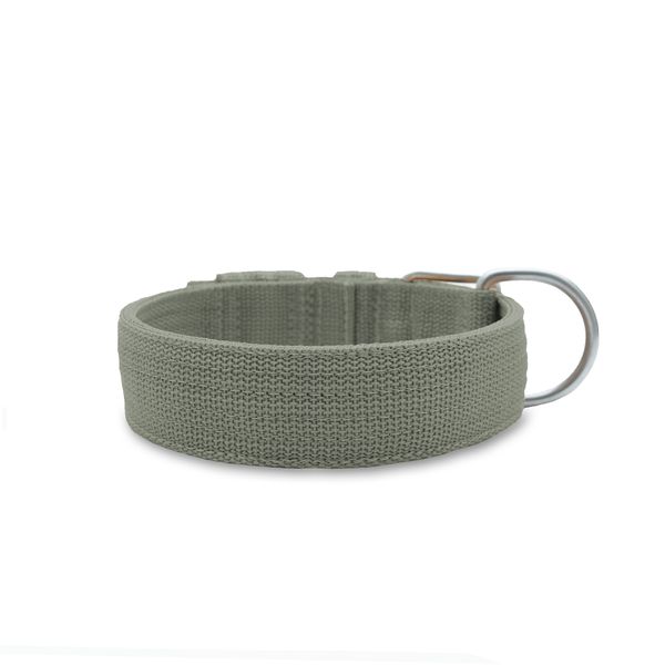 Coleira Para Cachorro Fit (cinza) 