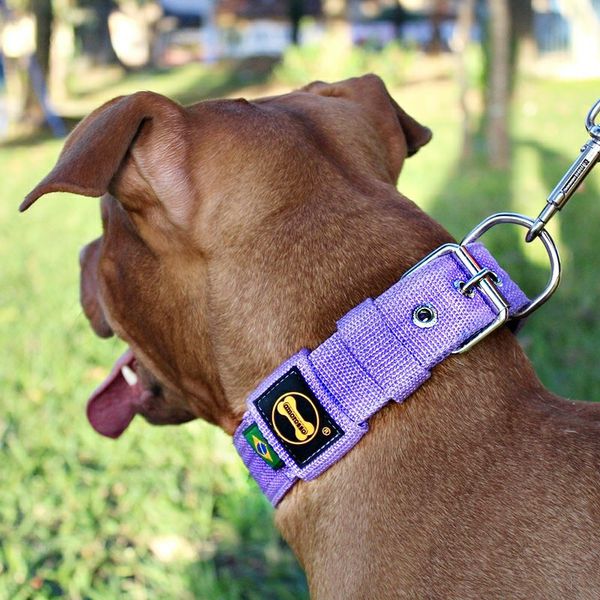  Coleira Para Cachorro Fit (lilás) 