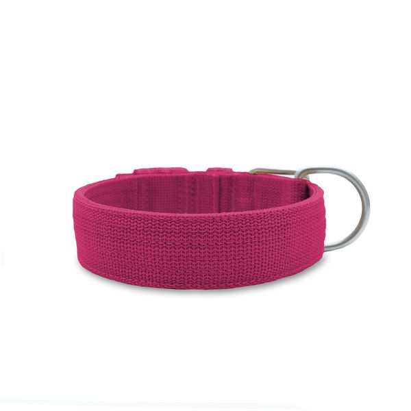 Coleira Para Cachorro Fit (pink) 