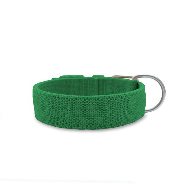 Coleira Para Cachorro Fit (verde) 