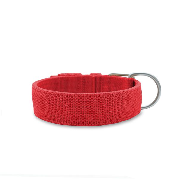  Coleira Para Cachorro Fit (vermelho) 