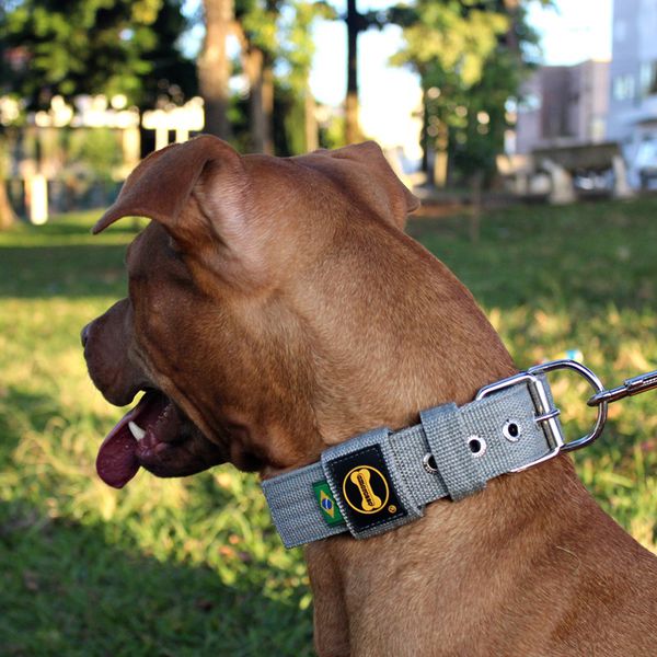 Coleira Para Cachorro Fit (cinza) 