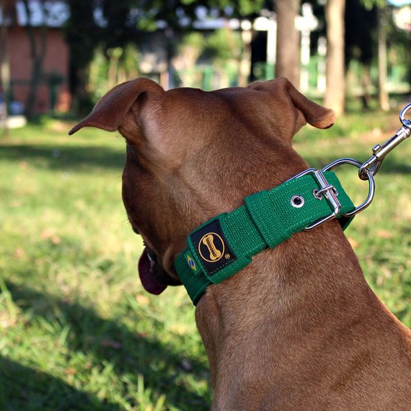 Coleira Para Cachorro Fit (verde) 