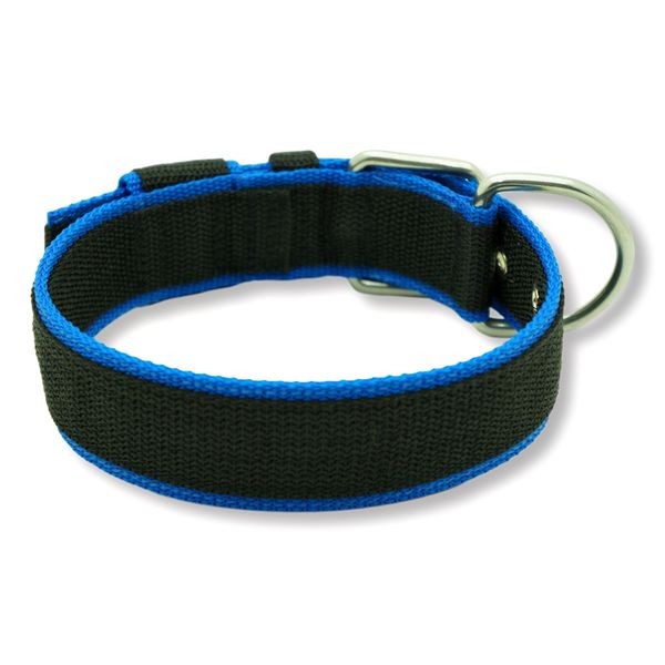  Coleira Para Cachorro Fit Lite (preto e azul) 
