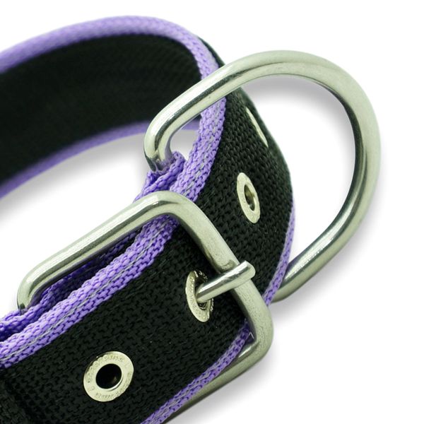  Coleira Para Cachorro Fit Lite (preto e lilás) 