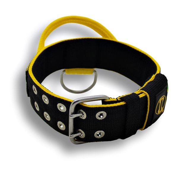 Coleira Personalizada Com Alça + Guia Slim 80cm - Preto e Amarelo 