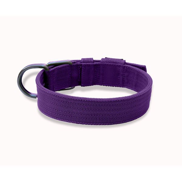  Coleira Para Cachorro Fit - Roxo 