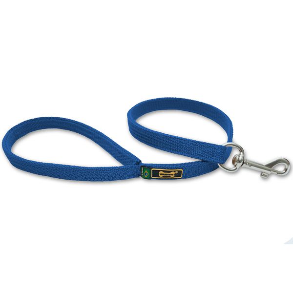 Coleira Para Cachorro Fit + Guia / Azul