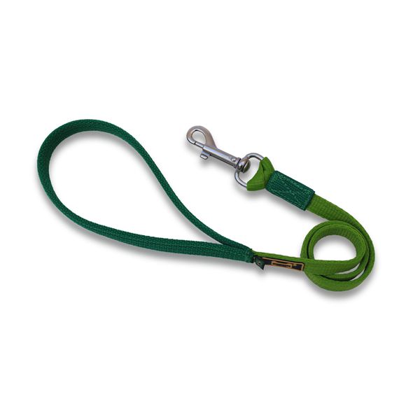 Guia de Passeio Amorosso Verde Claro e Verde Escuro