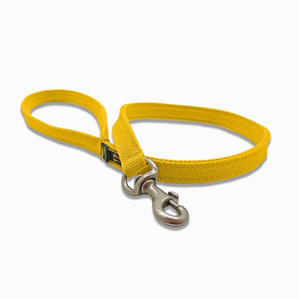 Guia de Passeio Amarelo Amorosso