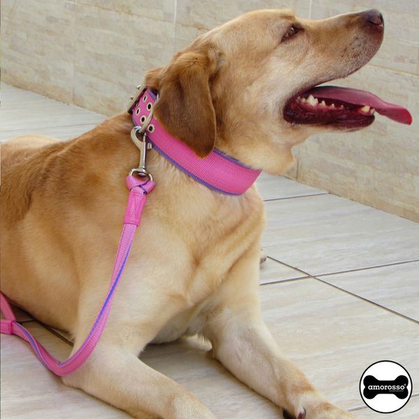 Coleira Para Cachorro Amorosso + Super Guia Curta 80cm (rosa e lilás)