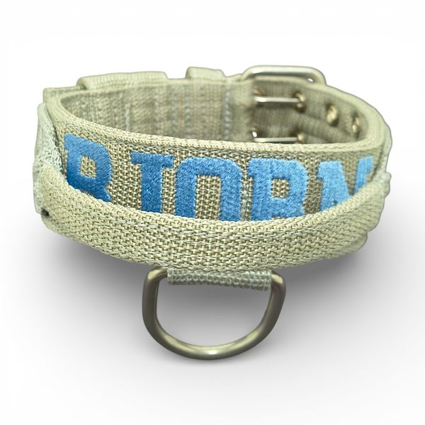 LQ Poderosso M nome Bjorn cinza