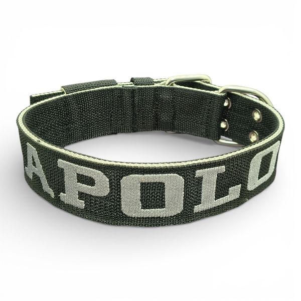 LQ Coleira Para Cachorro GG nome Apolo preto e cinza