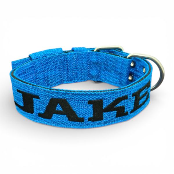 LQ Coleira Para Cachorro G nome jake azul e preto