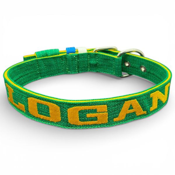 LQ Coleira fit Para Cachorro XG nome Logan verde e amarelo