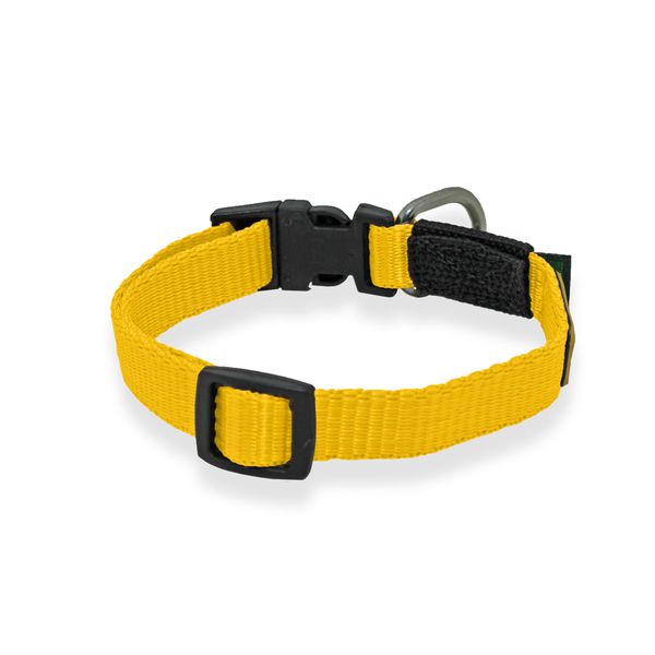 Little Collar Amorosso - Amarelo