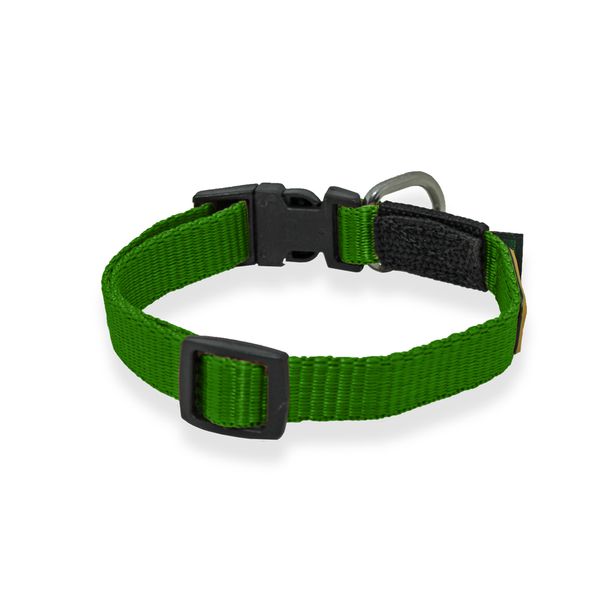 Little Collar Amorosso - Verde Claro
