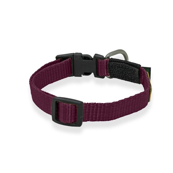 Little Collar Amorosso - Vinho