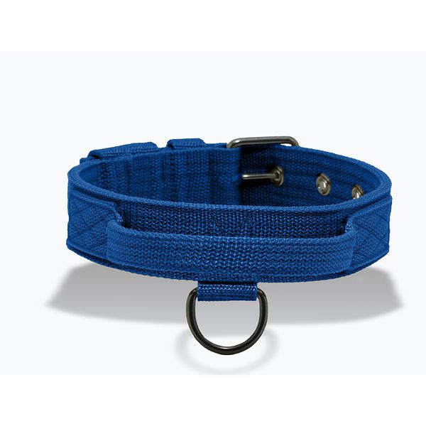 Coleira Para Cachorro Poderosso FIT (Azul)