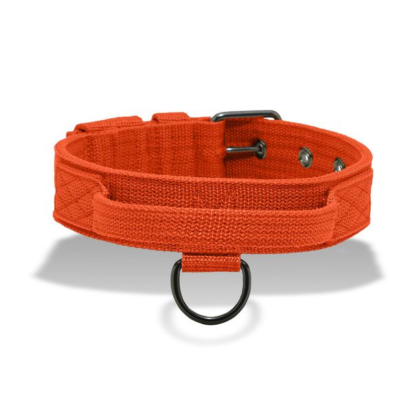 Coleira Para Cachorro Poderosso FIT (Laranja)