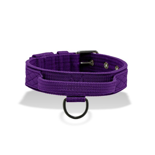 Coleira Para Cachorro Poderosso FIT (Roxo)