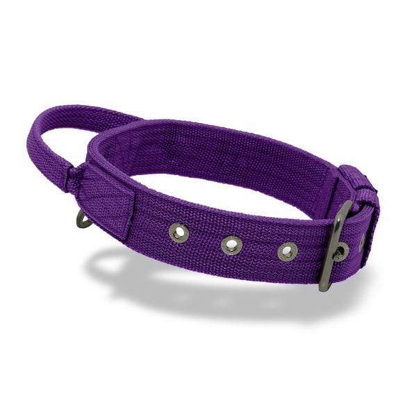 Coleira Para Cachorro Poderosso FIT (Roxo)
