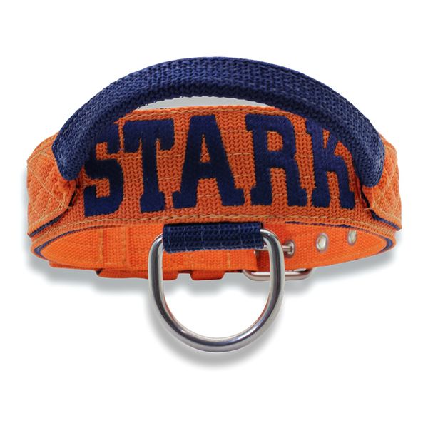 Coleira Para Cachorro Com Alça - Personalizada (laranja e azul marinho) + Guia 80cm 