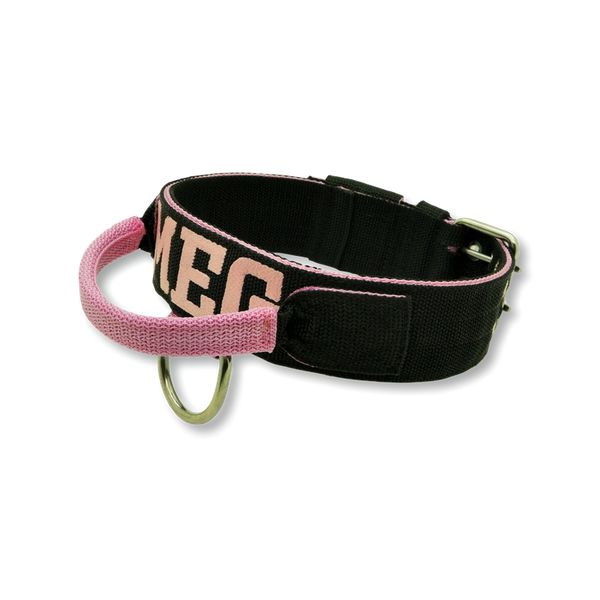Coleira Para Cachorro Com Alça Personalizada (preto e rosa) 