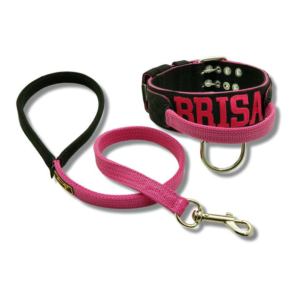 Coleira Para Cachorro Com Alça Personalizada (preto e pink) + Guia 80cm