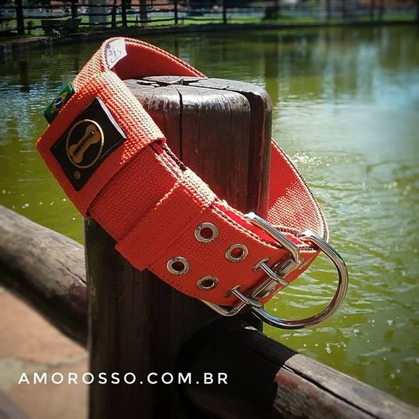  Coleira Para Cachorro Amorosso (laranja e preto)