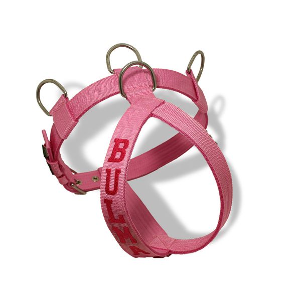 Peitoral Amorosso Personalizado (Rosa e Pink) 