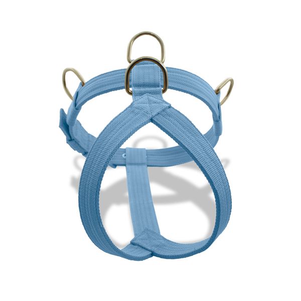 Peitoral Amorosso Tradicional Azul Claro