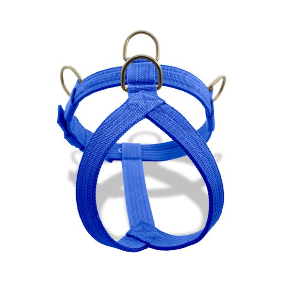 Peitoral Amorosso Tradicional Azul