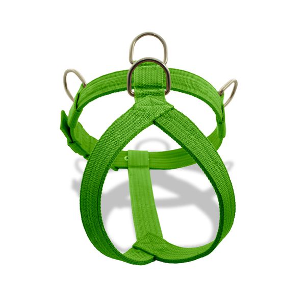 Peitoral Amorosso Tradicional Verde Claro
