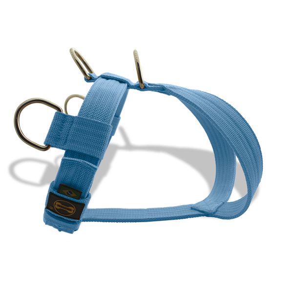 Peitoral Amorosso Tradicional Azul Claro