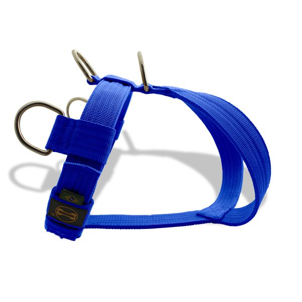 Peitoral Amorosso Tradicional Azul